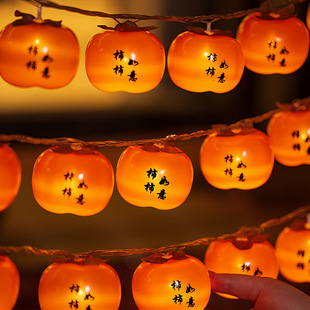 Cross-border LED firecracker lights, copper wire lights, string green wires, centipede feet, indoor and outdoor festival courtyard decorative lights, Christmas colored lights pic 4