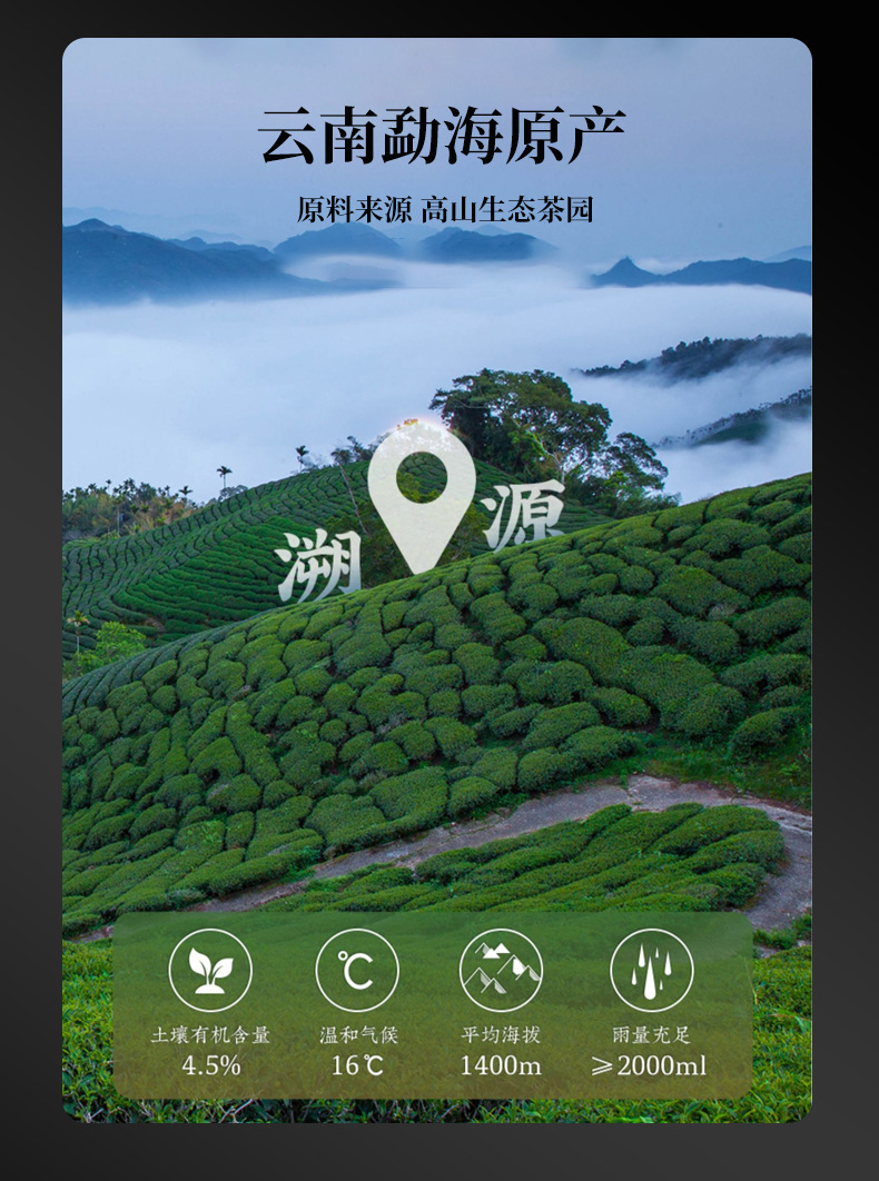 新会小青柑普洱茶天马陈皮普洱茶柑普茶陈皮小青柑散装厂家批发详情12