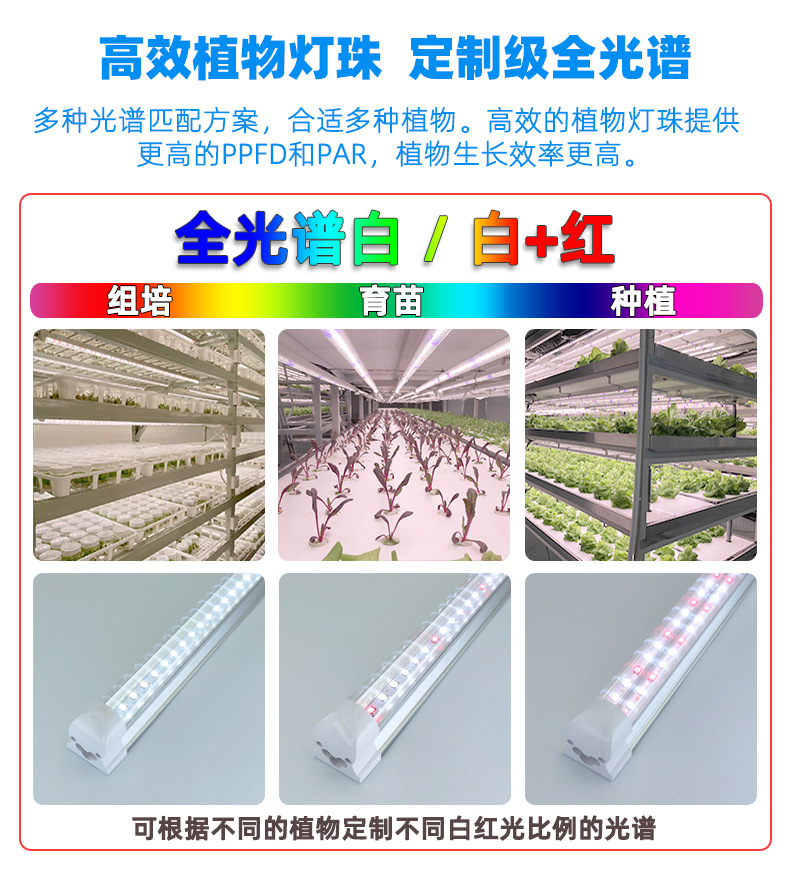 T8全光谱植物灯LED室内蔬菜育苗植物生长灯温室大棚多肉补光灯详情6