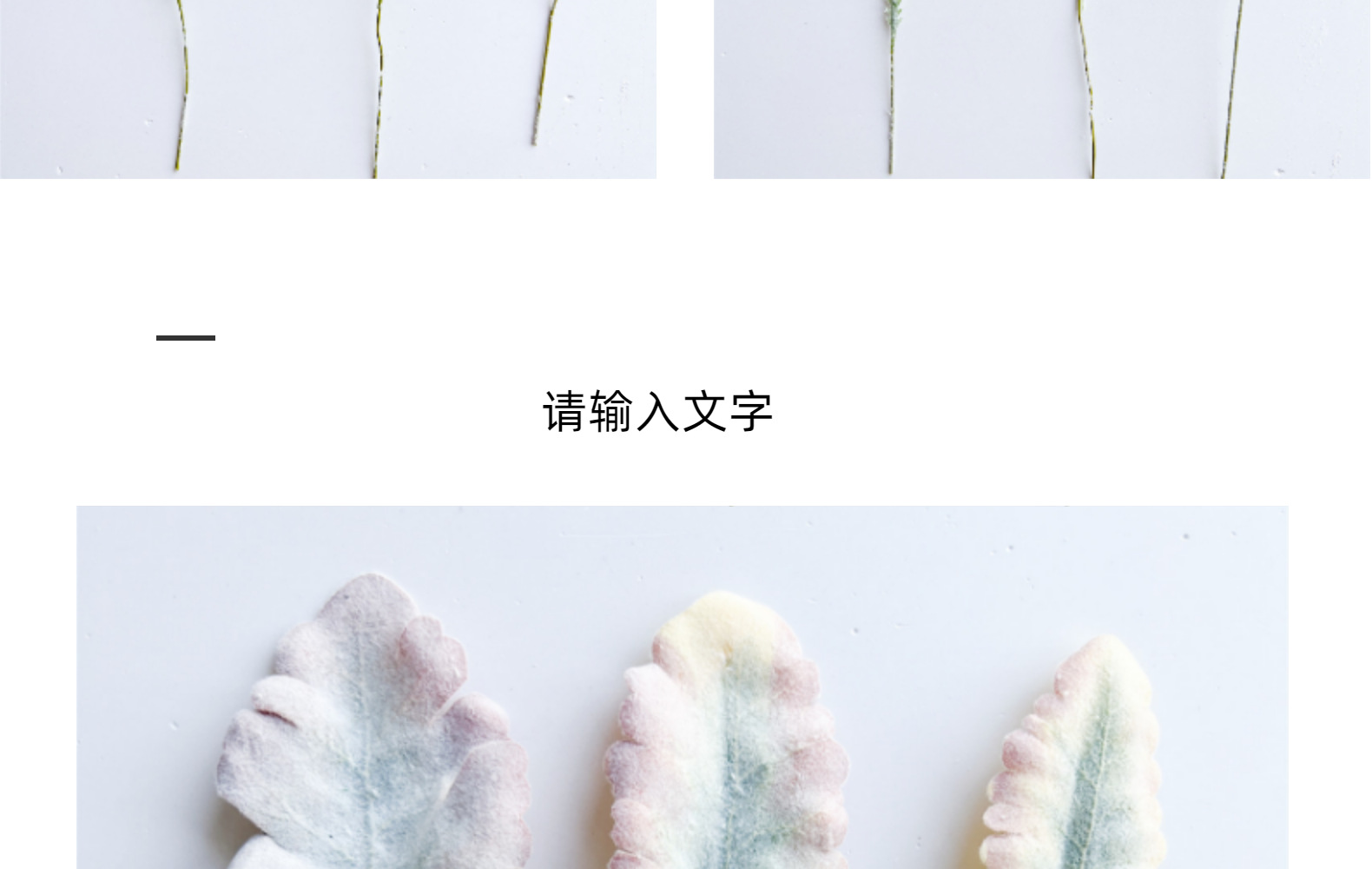 欧式银叶菊兔耳叶叶片配件情人节玫瑰假花餐桌家居绿植软装宠物园艺干花详情18