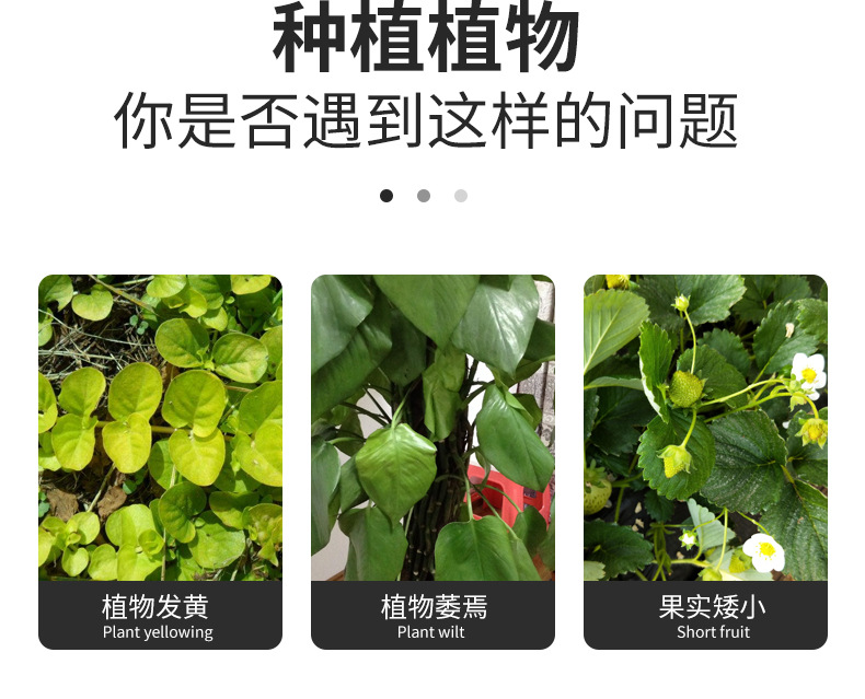 Full-spectrum cross-border flower greenhouse, household indoor succulent lamp, coloring and supplementary lighting lamp, T8LED plant lamp, growth lamp pic 4