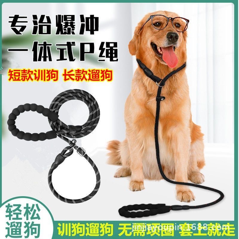 Pet dog leash chain supplies, P-chain dog walking leash, explosion-proof p leash, medium and large-sized golden Retriever pic 13
