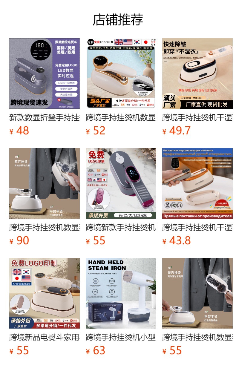 跨境挂烫机家用熨斗新款小型便携蒸汽电熨斗宿舍烫衣机手持熨烫机详情1