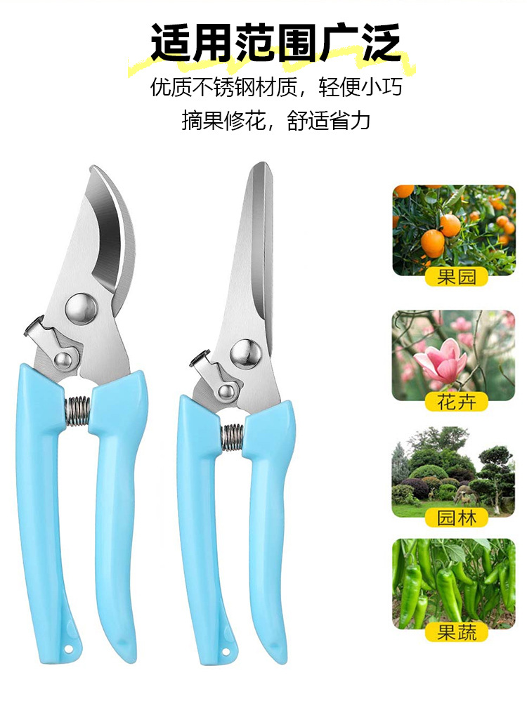 园林花剪园艺剪刀修枝摘果剪强力剪子不锈钢修枝剪多功能园林工具详情8
