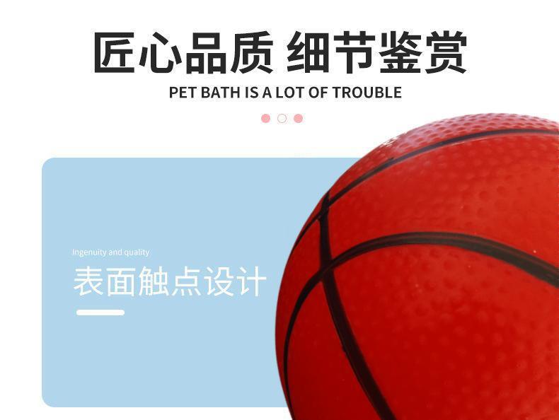 厂家充气球儿童玩具拍拍球小皮球西瓜球幼儿园弹力小篮球按摩球球详情9