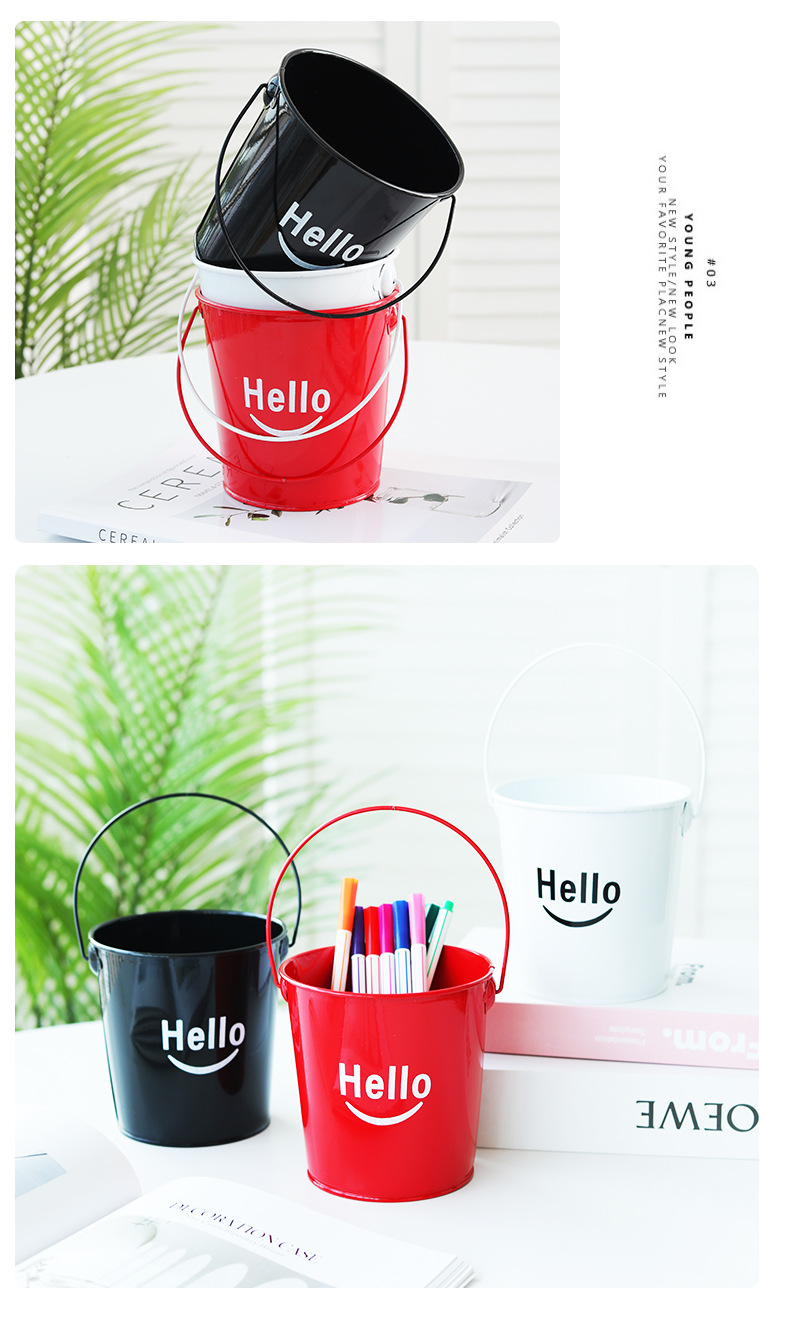 铁皮小提桶金属铁艺花桶收纳小桶阳台绿植多肉种植套盆桌面装饰桶详情9