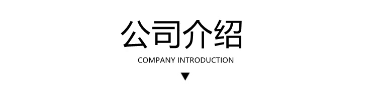 公司介绍