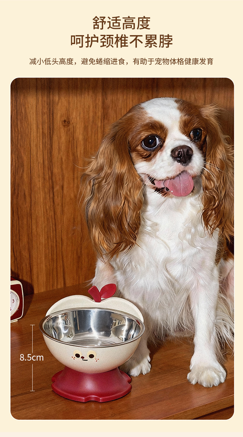 Rongka Pet Cross-border Cat Bowl and Dog Bowl, high appearance level pet bowl, anti-slip and anti-knock cat food bowl, dog bowl, stainless steel large capacity dog bowl pic 4