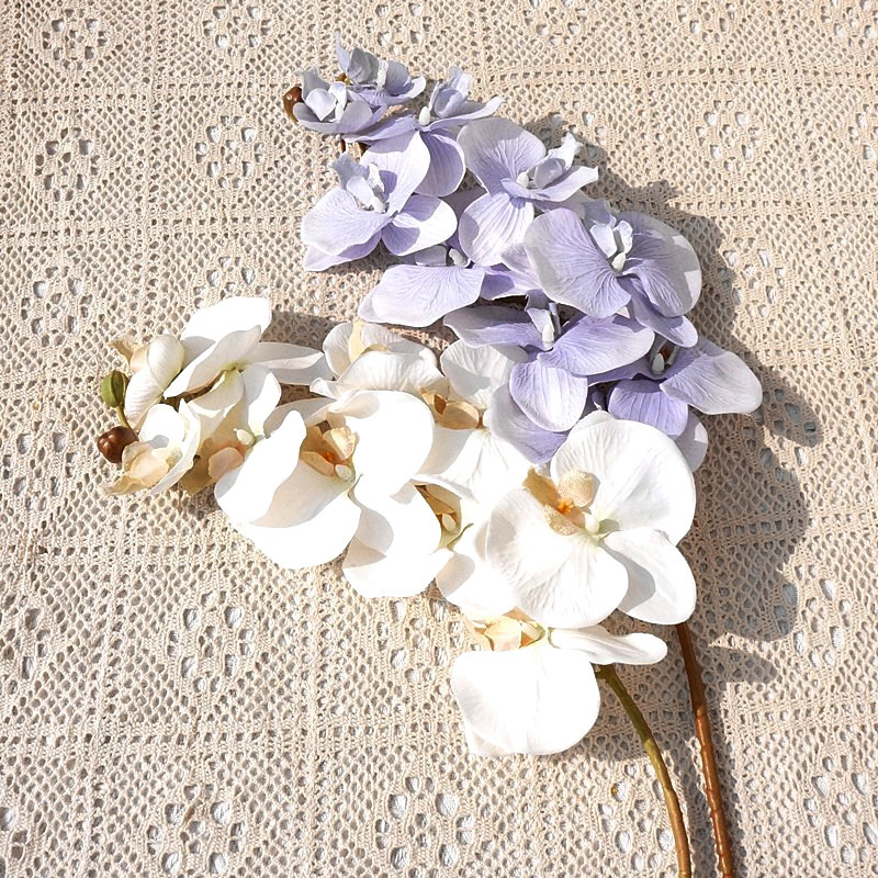 O1CN01JZ8BZV1s540m193tI_!!4036