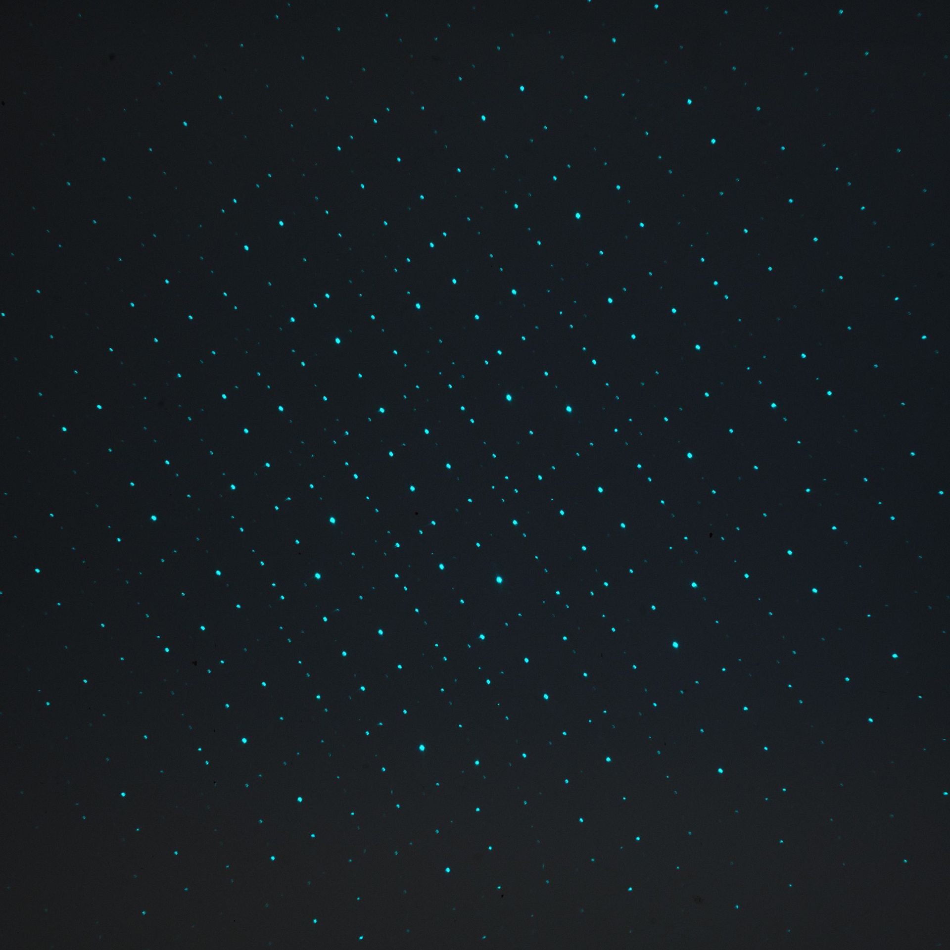 多功能激光灯钥匙扣绿光笔远射灯多图案满天星激光笔玩具登山扣详情21