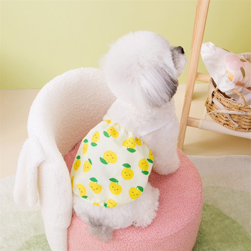 宠物裙子原厂批发春夏新款宠物狗狗猫咪裙子可爱舒适叶子水果裙详情7