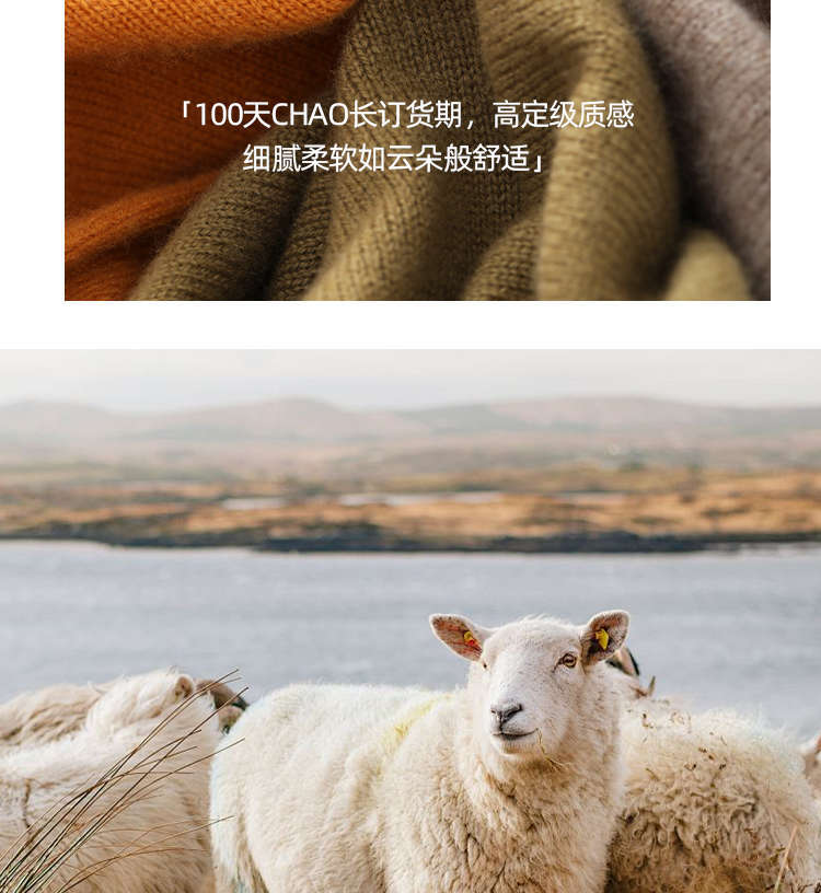 羊毛中领打底衫加厚毛针织衫百搭经典款毛衣毛衣毛衣毛衣毛衣毛衣毛衣详情15