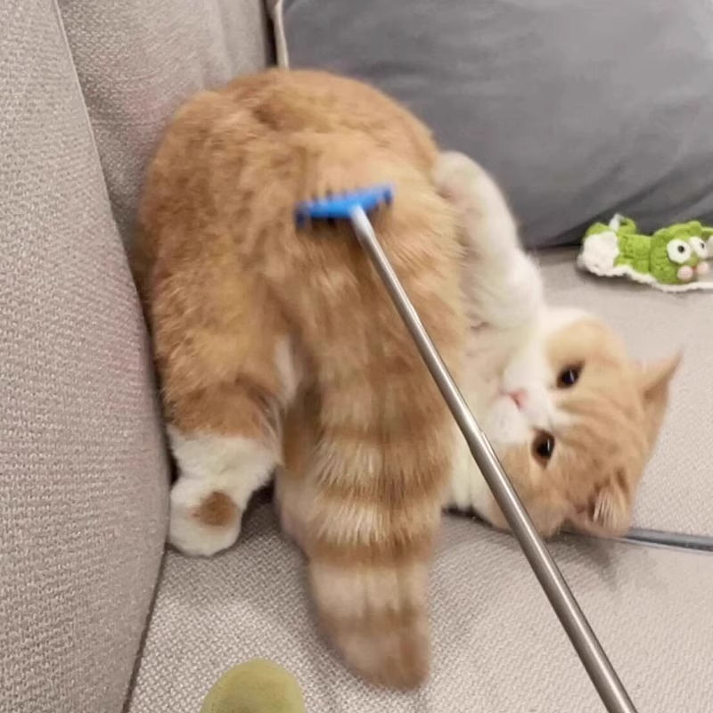 网红猫咪玩具可伸缩挠痒逗猫棒长杆按摩互动自嗨解闷神器猫咪用品详情1