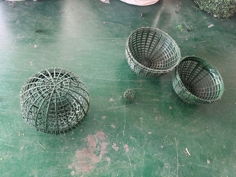 QQ图片20240724194854_副本