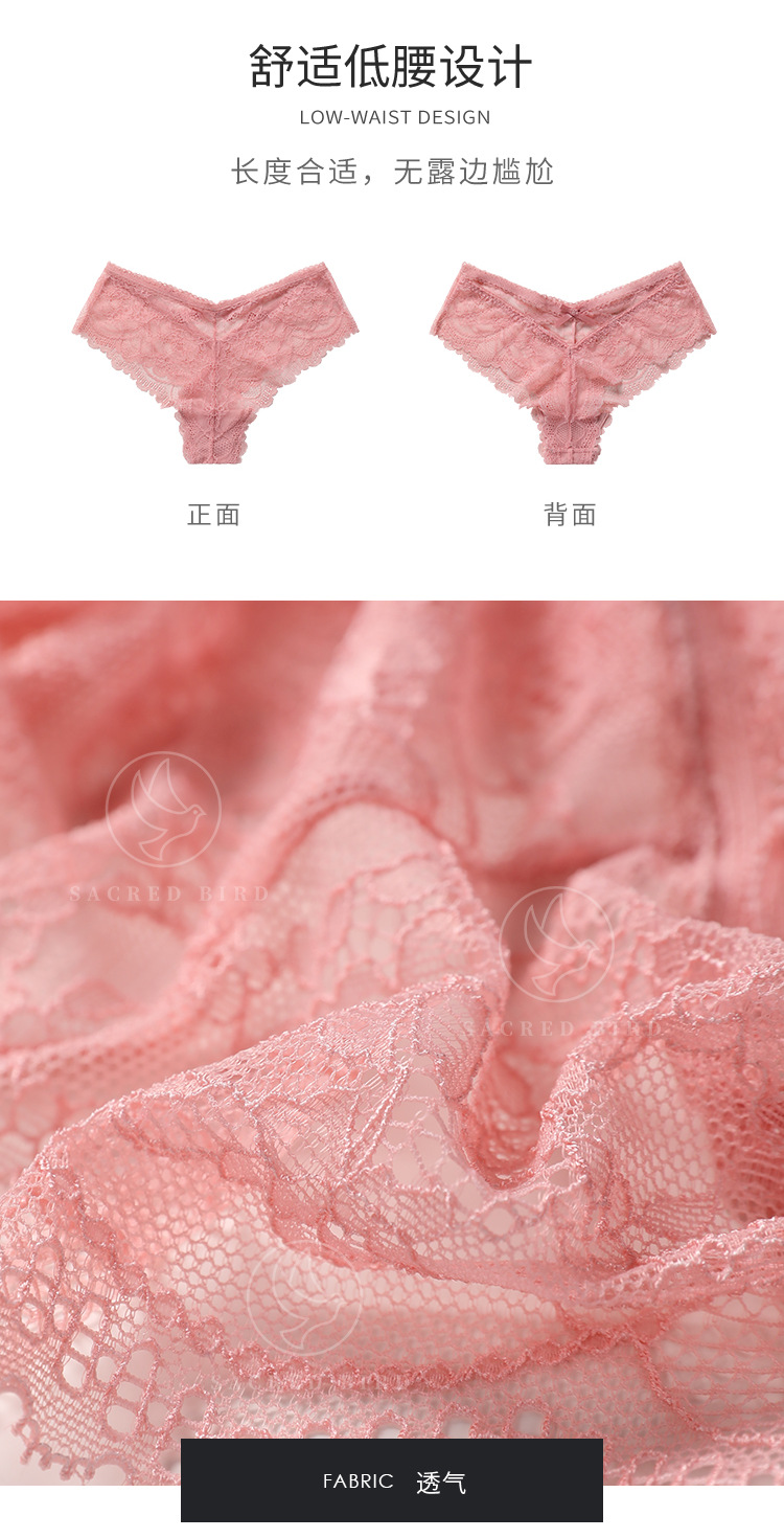 性感t裤蕾丝情趣透视蝴蝶结大码内裤女欧美运动速干女士丁字裤详情3