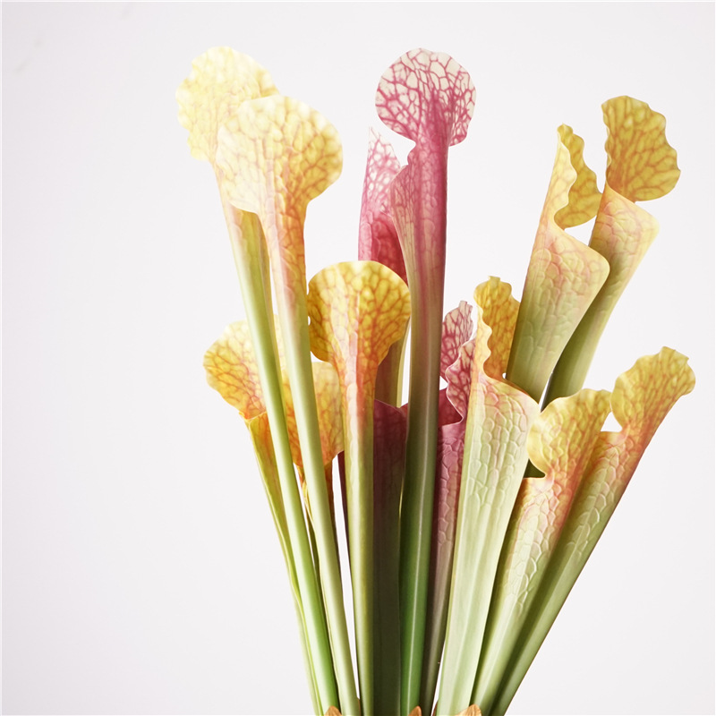 瓶子草高级感is简约风仿真花植物配件婚礼装饰批发花材花艺装饰详情10