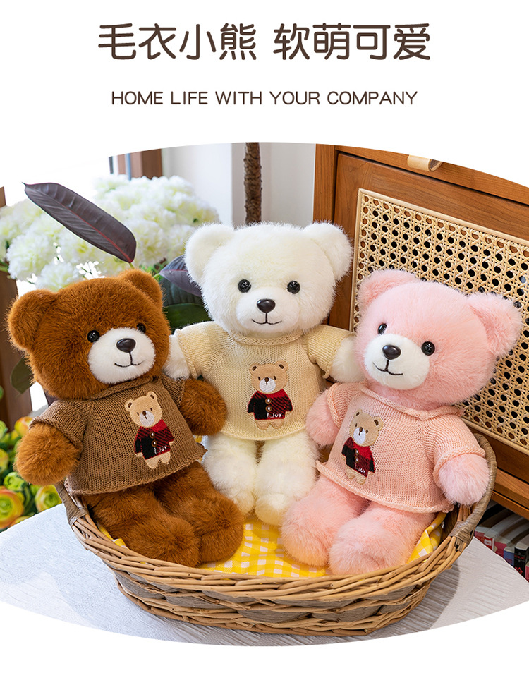 毛衣泰迪熊公仔毛衣百变小熊毛绒玩具情人节送女生布娃娃礼物熊送详情9