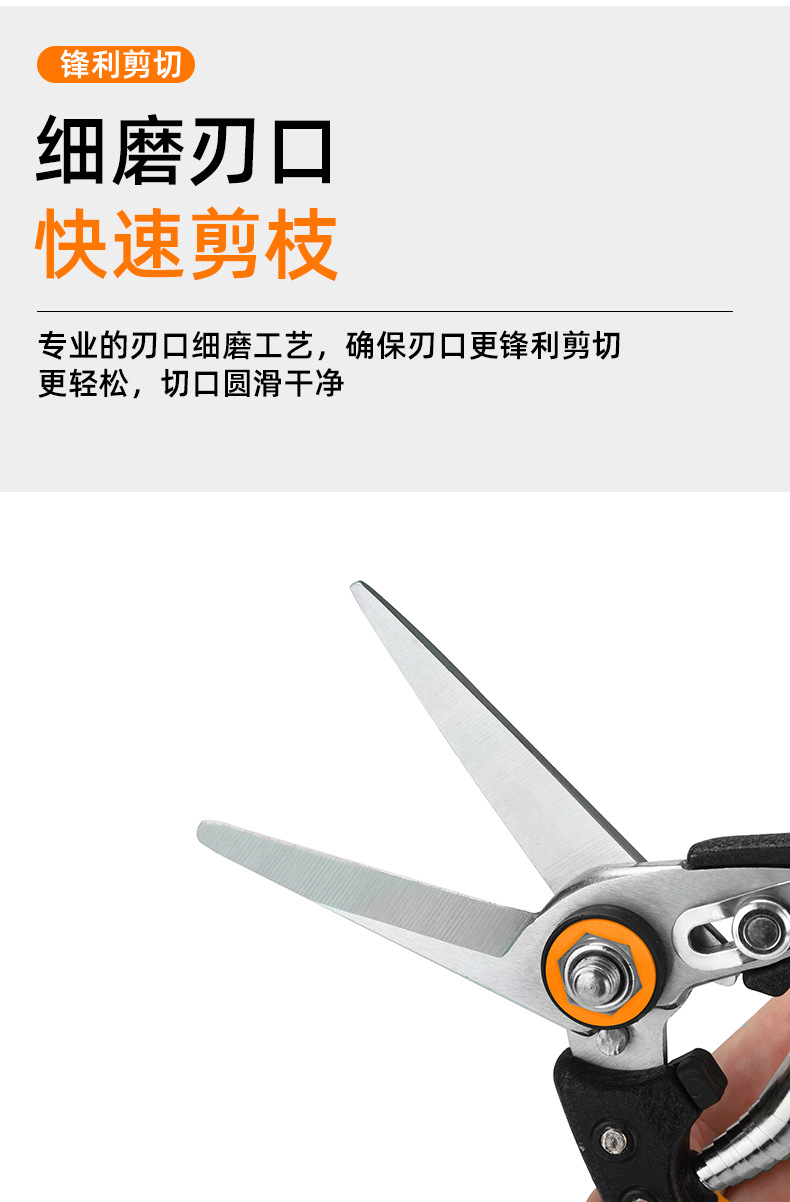 园艺修花剪刀果树粗枝修枝剪花艺加厚宽头鲜花剪园林修剪工具批发详情10