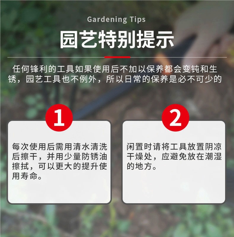 园艺小铲子铁锹种菜栽花套装盆栽多肉锄头耙子挖土种养花园艺工具详情9