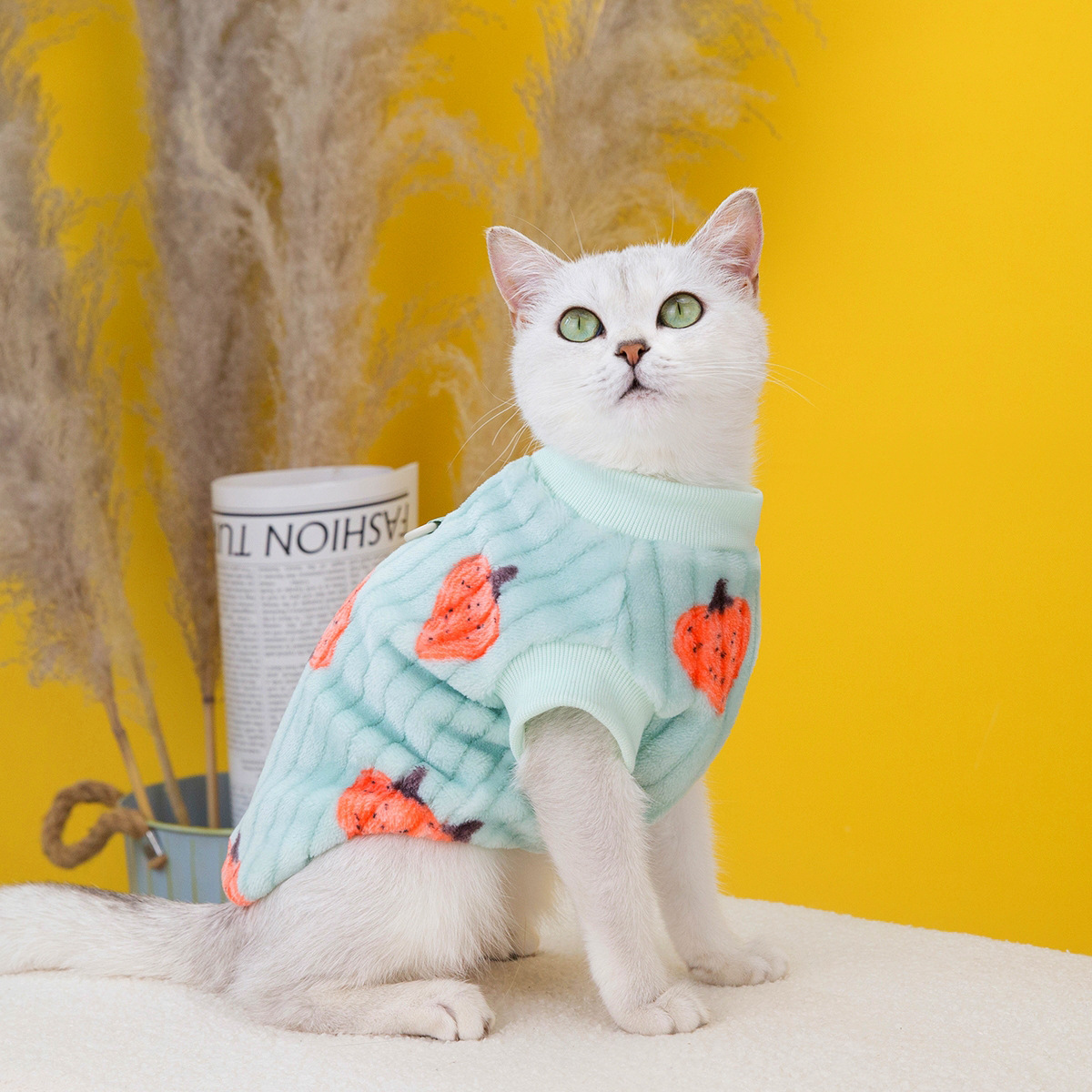 Pet clothing, cat clothes, cat cotton vests, little blue cat clothing for autumn and winter, new 2023 strawberry fleece jackets pic 2