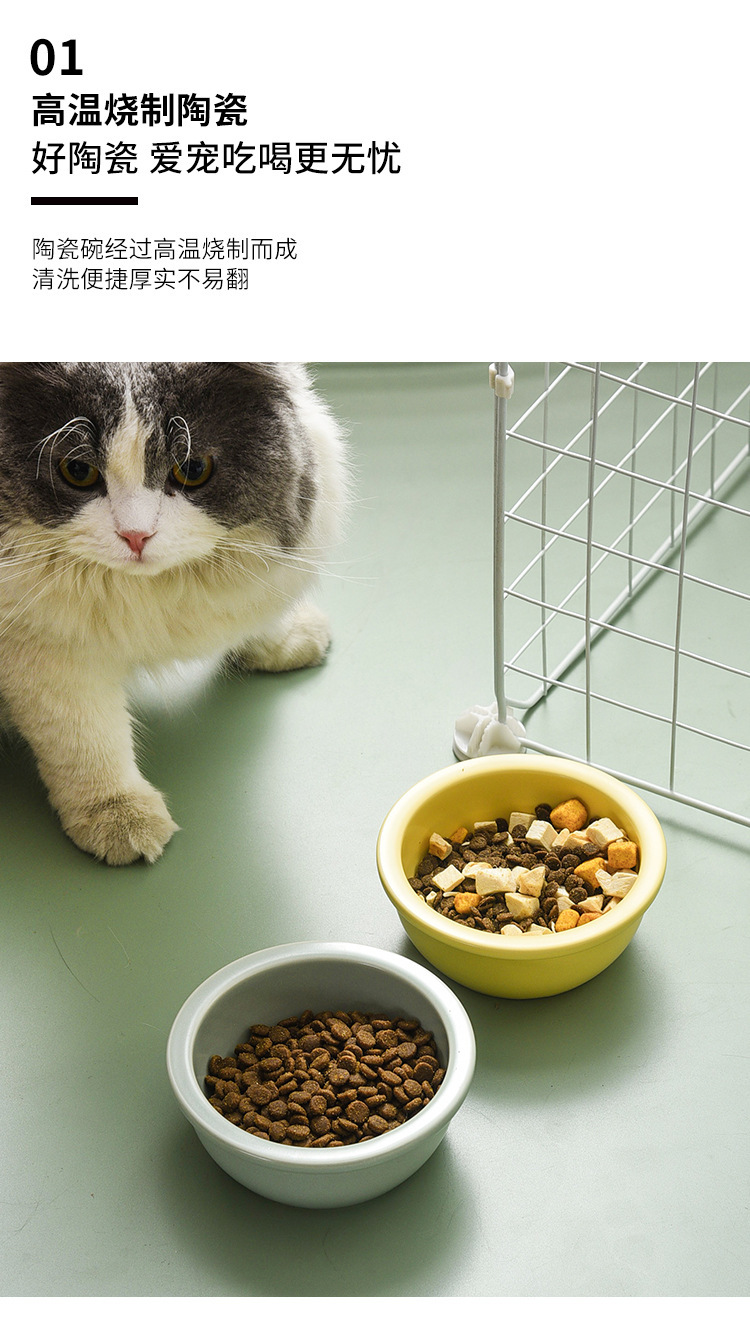 Three-piece pet food bowl set, hanging feeding bowl, pet supplies, automatic water dispenser, dog bowl, pet feeder pic 2