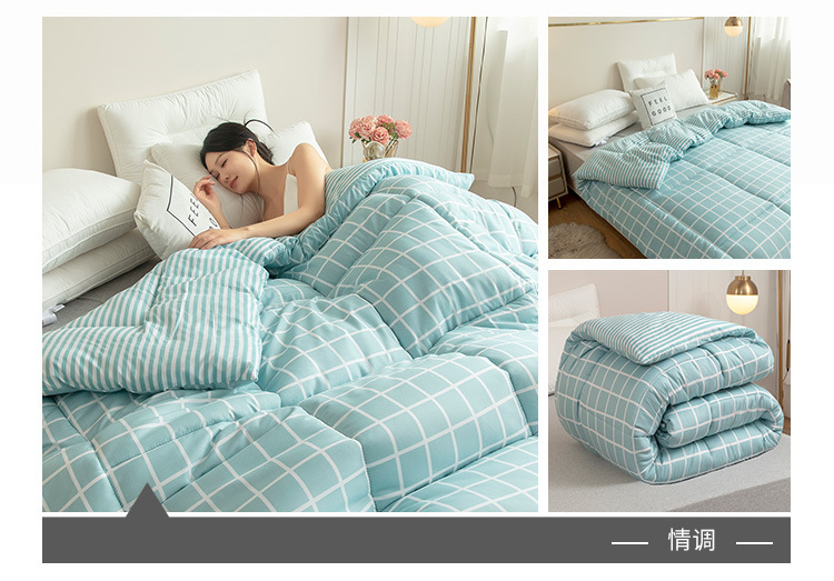 Wholesale of spring and autumn quilts, thickened and warm winter quilts, and single and double student winter quilts for all four seasons pic 4
