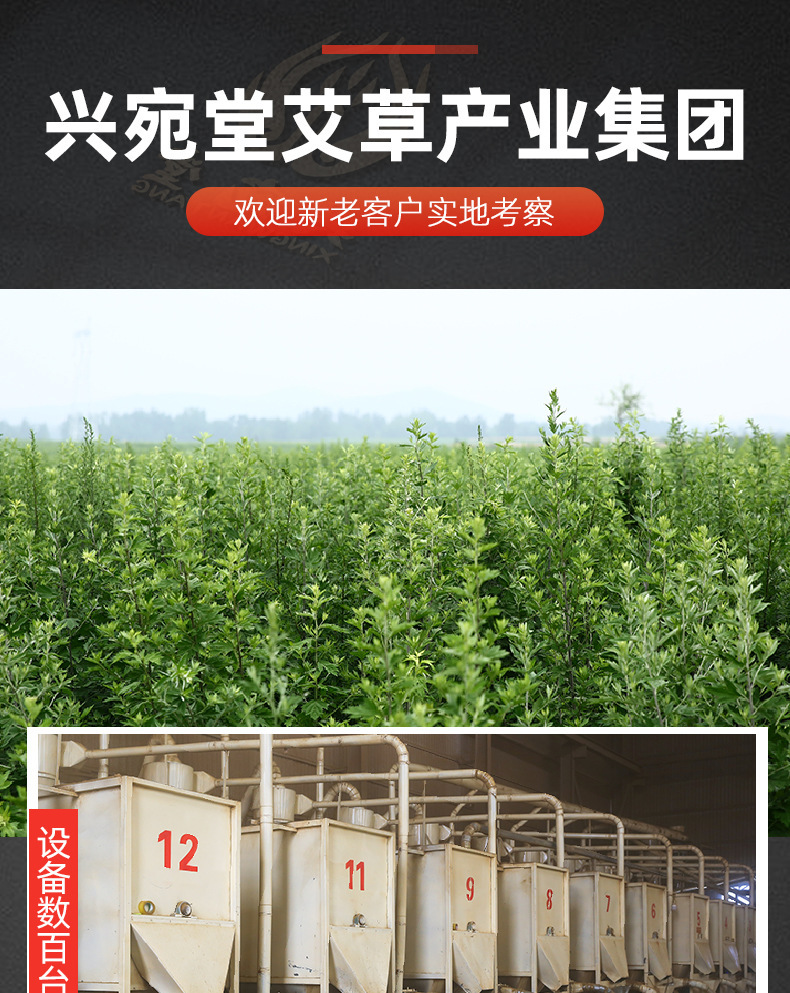 尾3.jpg