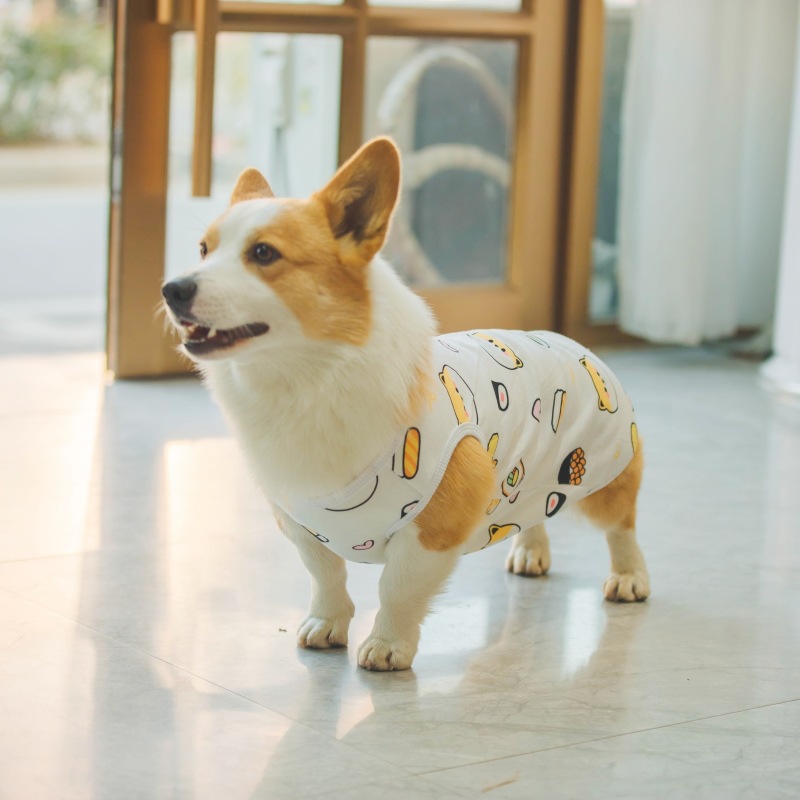 狗狗背心四季款宠物T恤可爱卡通狗狗服装印花中型犬幼犬现货批发详情20