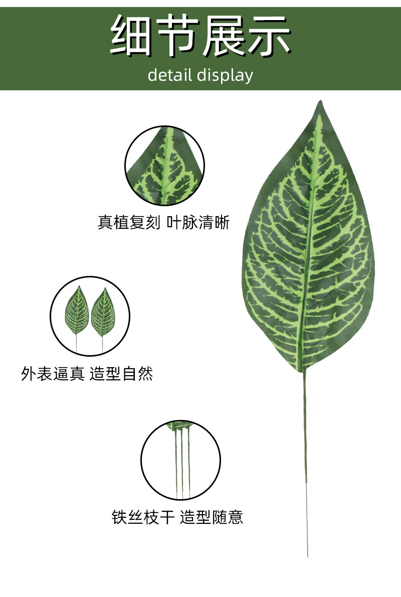 仿真人造植物叶子单片绿叶春雨叶美人蕉北欧家居插花装饰配材办公文化仿真园艺枝叶树详情4