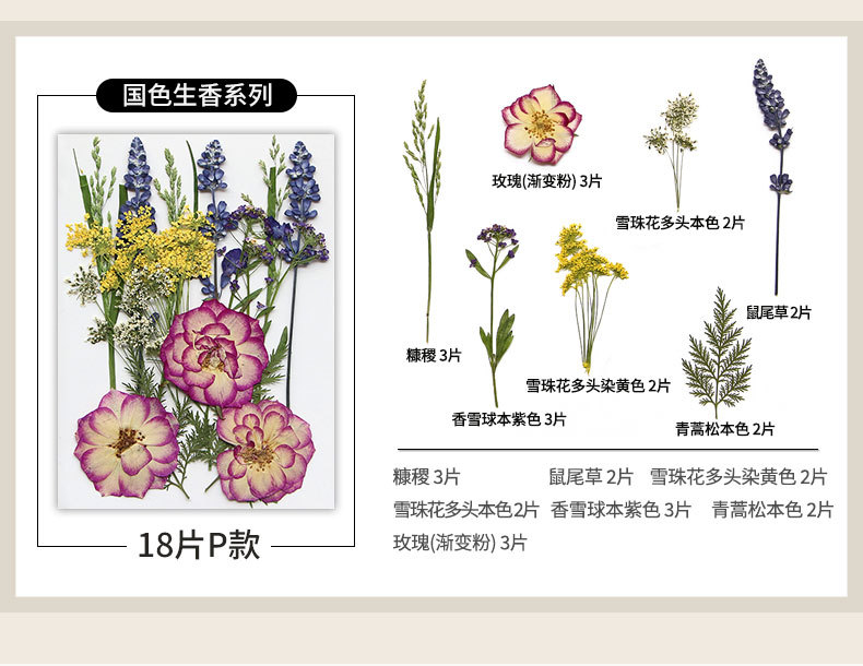 新款干花压花材料包贴脸装饰眼角写真花瓣diy滴胶相框植物标本详情25