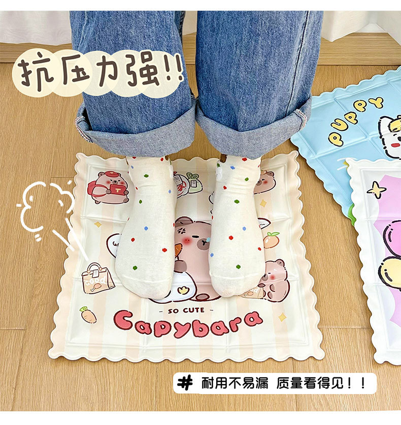 ins风夏季冰垫可爱学生办公室冰凉坐垫凝胶宠物散热垫学生夏凉垫详情9