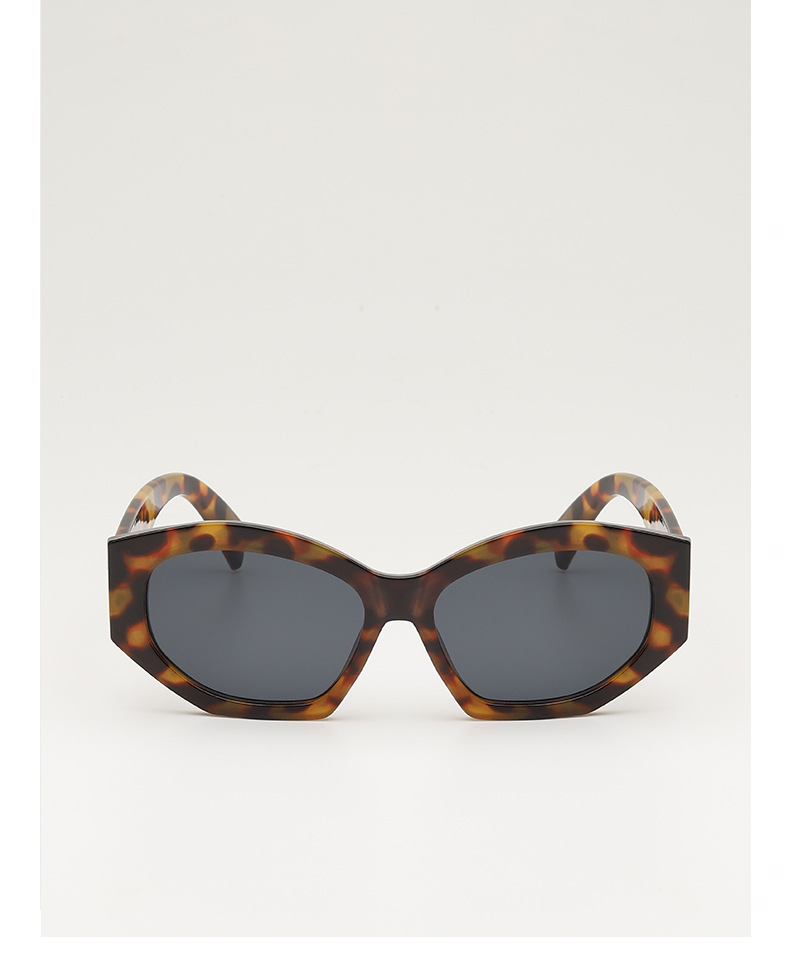 Retro triumph snow sunglasses for women, a new type of high-end oval angular sunglasses for sun protection and shading pic 12