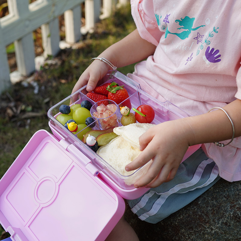 Straps - Lunch box, student bento box, sandwich box, single-layer European and American snack box pic 1