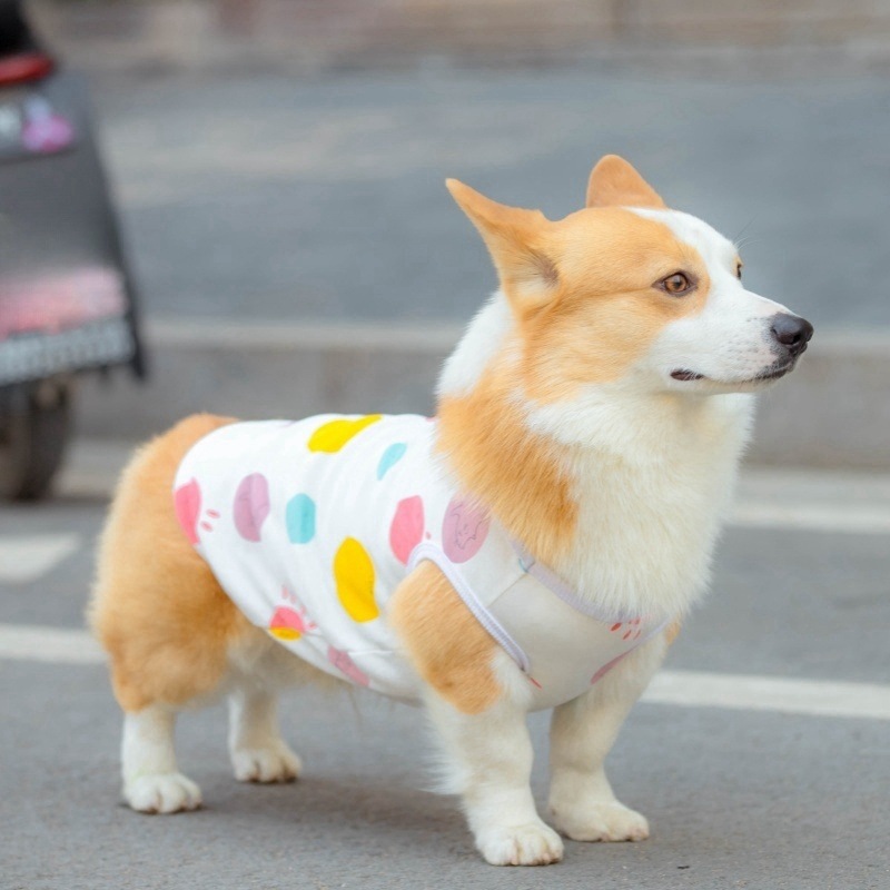 狗狗背心四季款宠物T恤可爱卡通狗狗服装印花中型犬幼犬现货批发详情9