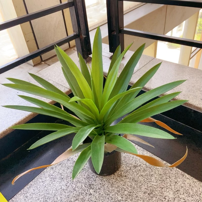 微信图片_20240524104036