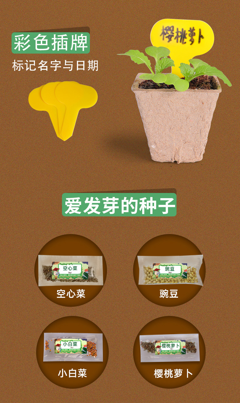 Sunshine Little Vegetable Garden Wooden Science Experiment Set DIY Dragon Boat Planting Science and Technology Small Experiment Toys pic 10