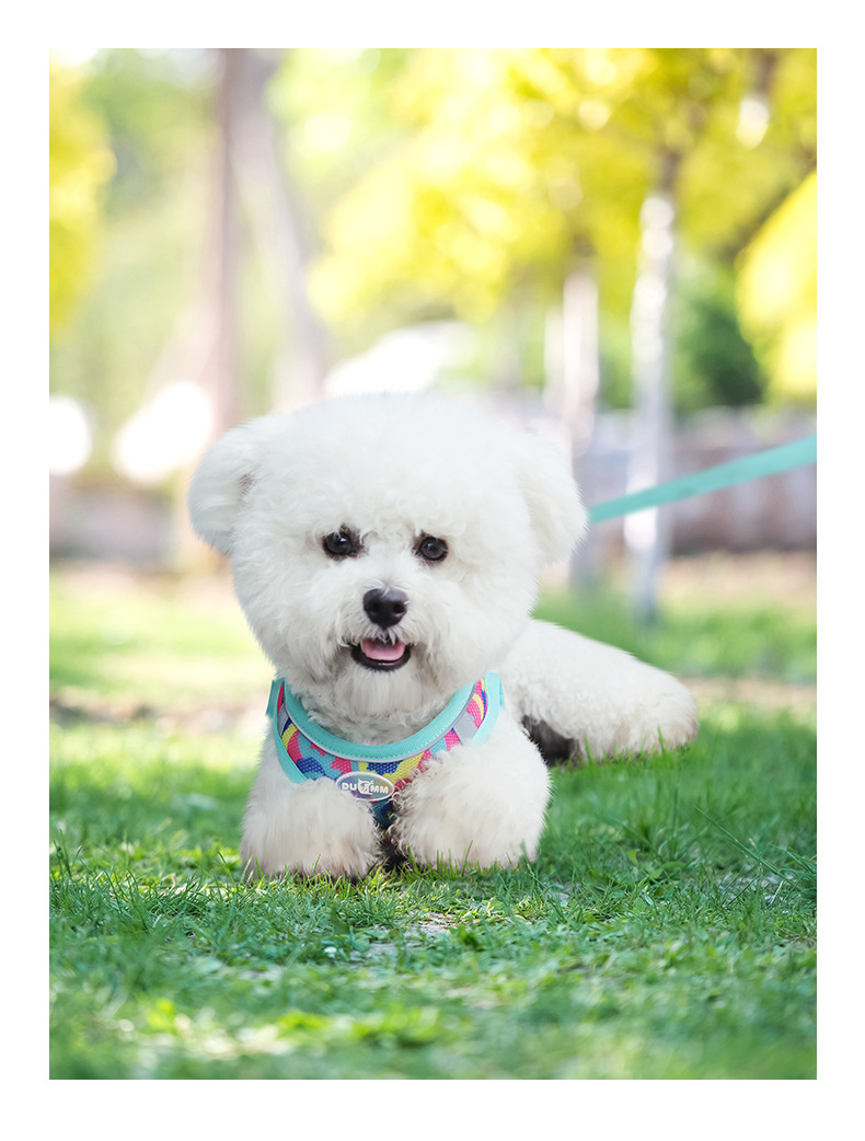 Wholesale of new spring and summer dog chest and back straps, reflective and breathable dog leash, camouflage three-piece set and dog leash pic 17