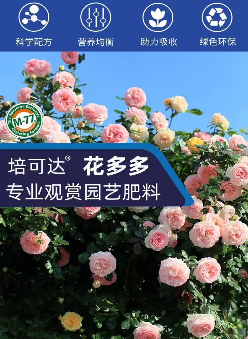 花多多2号促花肥1号通用型肥料水溶肥多肉植物盆栽促开花家用花肥详情3