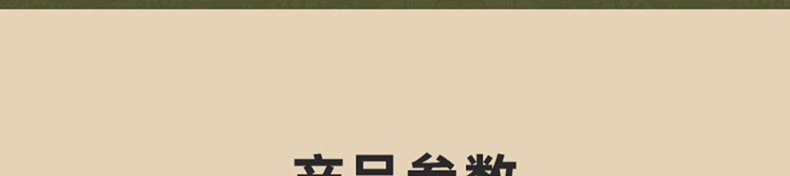 欧规美规陶瓷PTC发热暖风机小型静音桌面取暖器110V跨境电暖器详情45