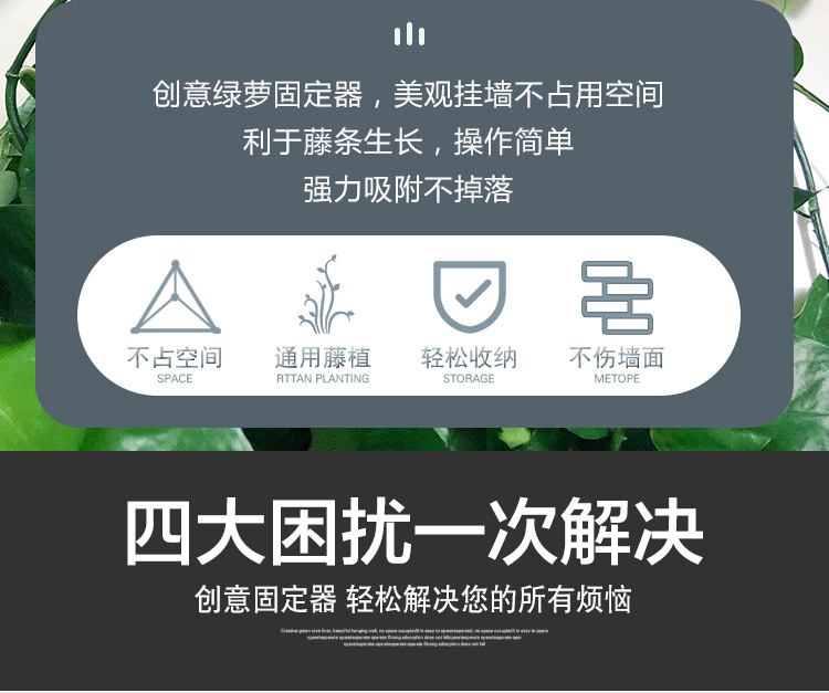 树叶款绿萝固定器绿植爬墙神器墙面西瓜藤蔓固定夹无痕绿植固定器详情5