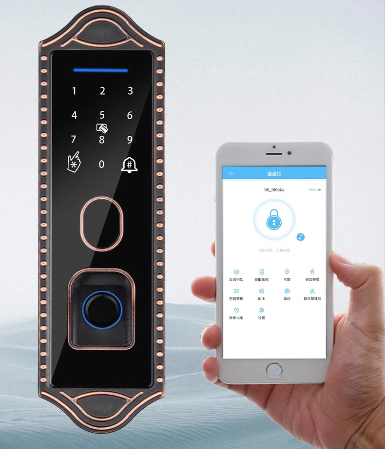 Bull head lock, electronic lock, anti-theft door, courtyard fingerprint lock, apartment iron gate, graffiti all smart lock, old-fashioned combination lock pic 13