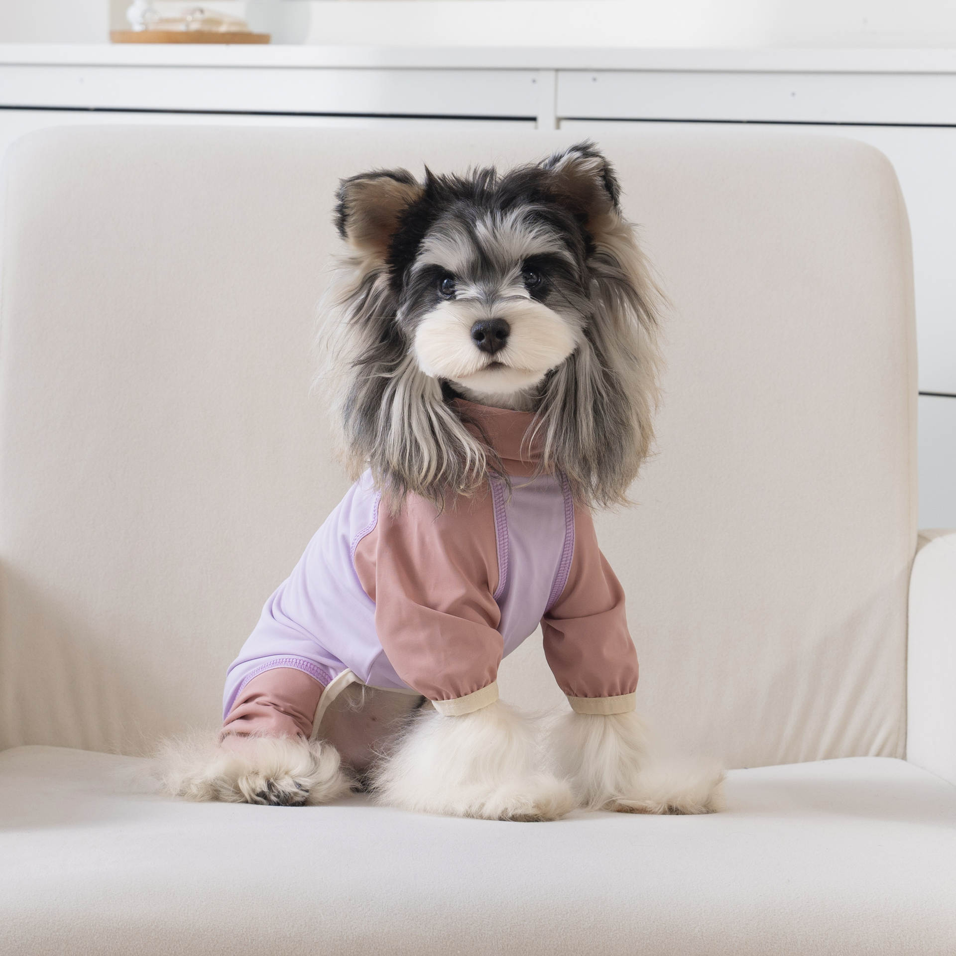 春夏新款小型犬四脚衣冰丝凉感服 泰迪比熊雪纳瑞宠物服装详情2