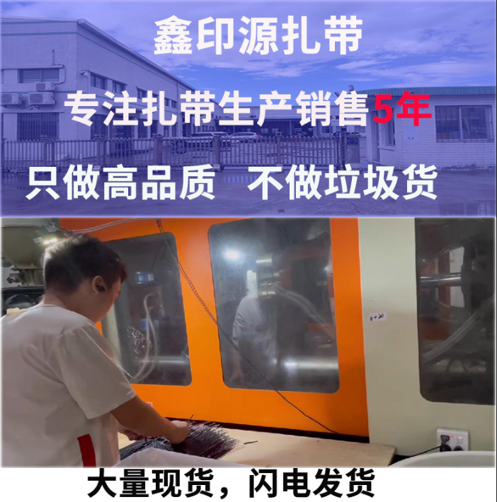 外贸跨境专供黑色尼龙扎带2.5*3.6*200塑料束线带白色自锁式扎带详情2