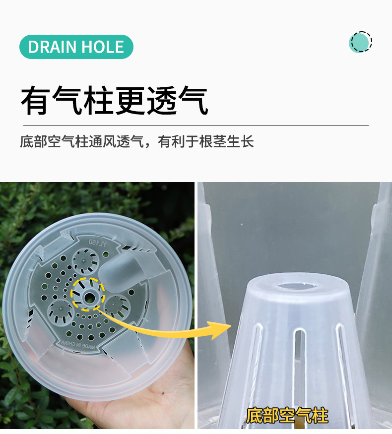 新款储水透明青山盆自吸水懒人盆控根盆朱顶红蝴蝶兰塑料花盆批发详情11