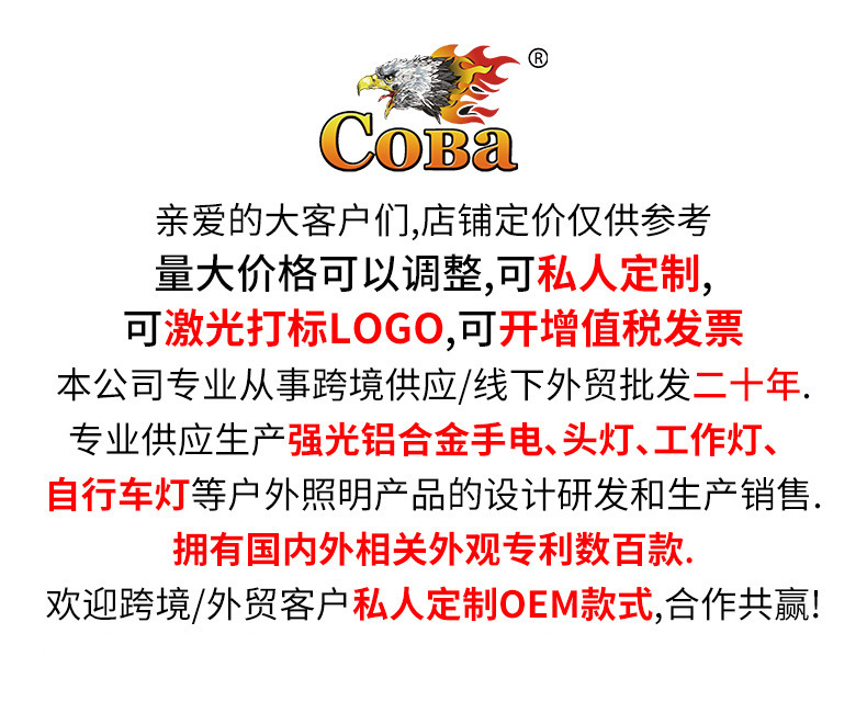 亚马逊强光变焦多功能手电Type-C充电荧光条数字电显白激光手电筒详情6