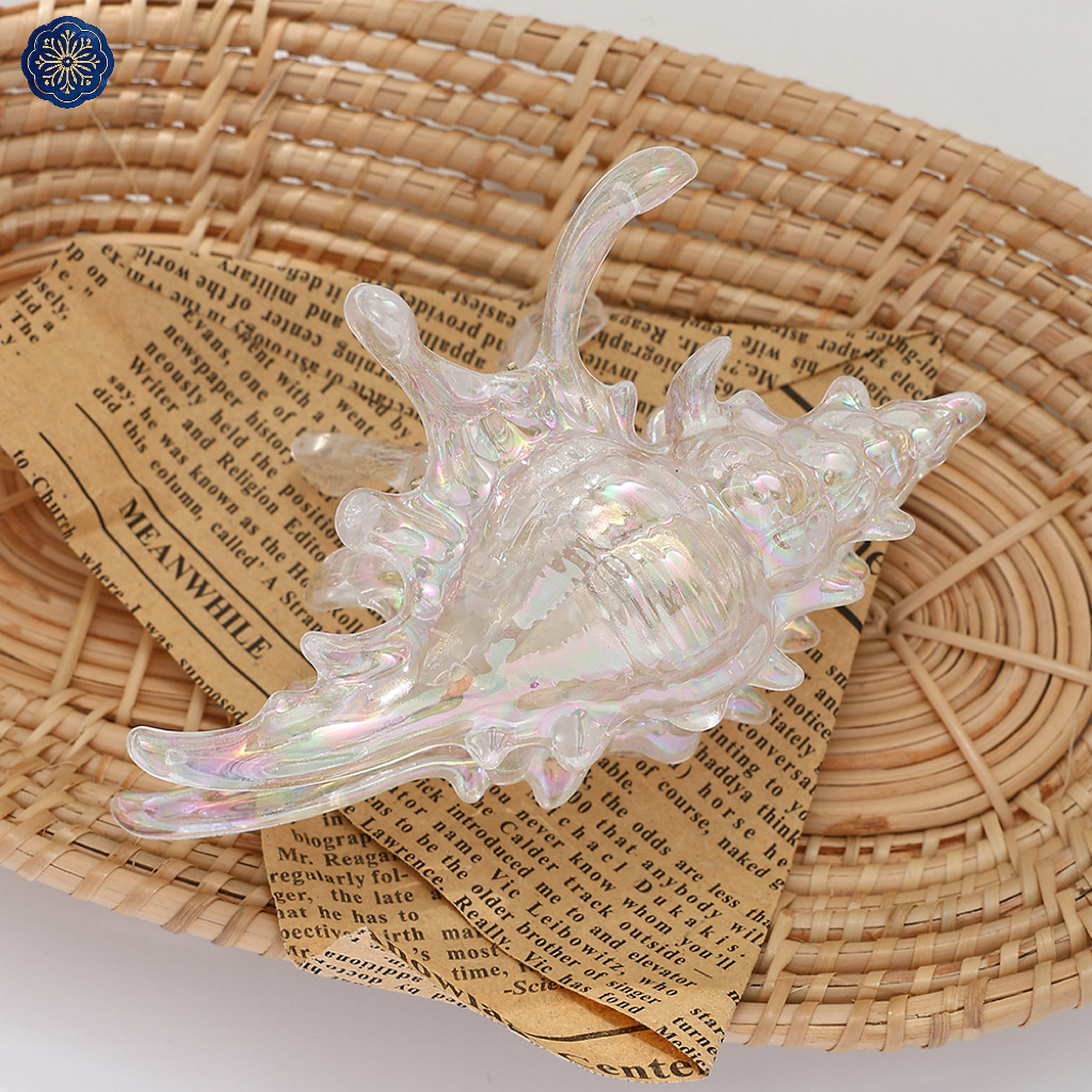 海的2025新款高级感炫彩海螺抓夹女后脑鲨鱼夹发卡发饰发夹头饰详情9