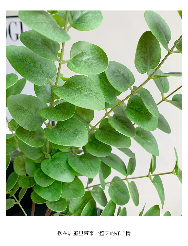 长枝3D打印手感仿真尤加利叶单支金钱叶拍照道具家居装饰假树叶详情9