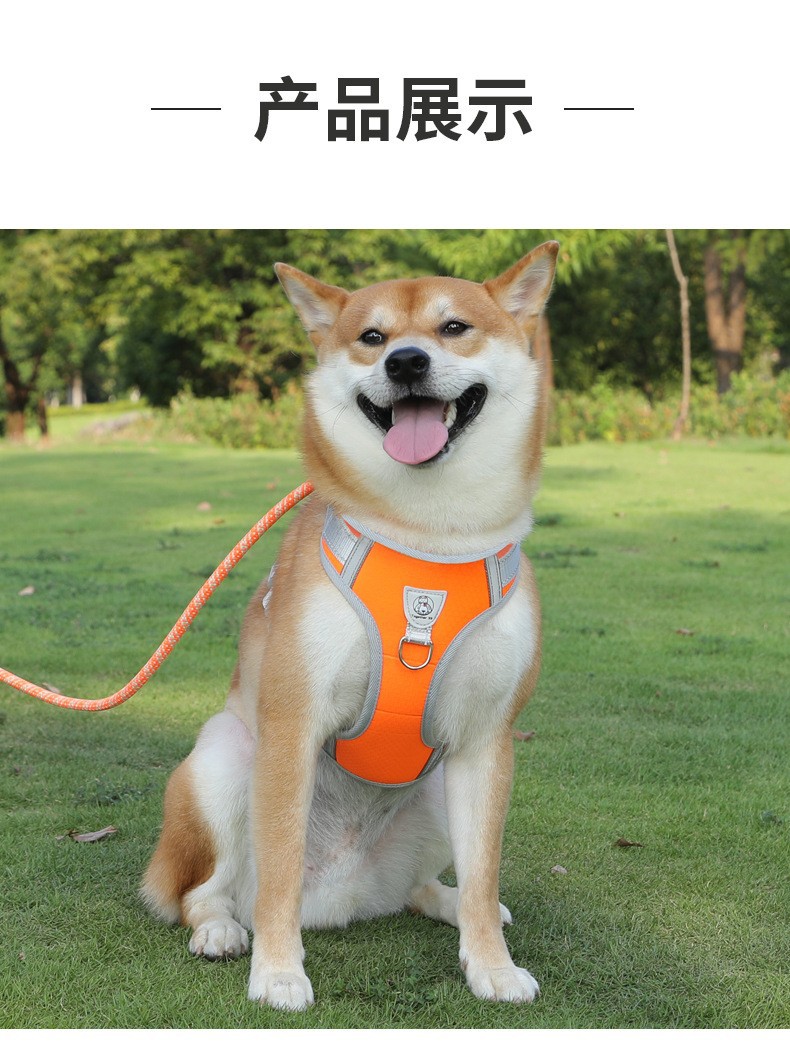 New cross-border pet leash for medium and large-sized dogs, universal safety dog chain, P-chain anti-loss dog walking leash pic 7