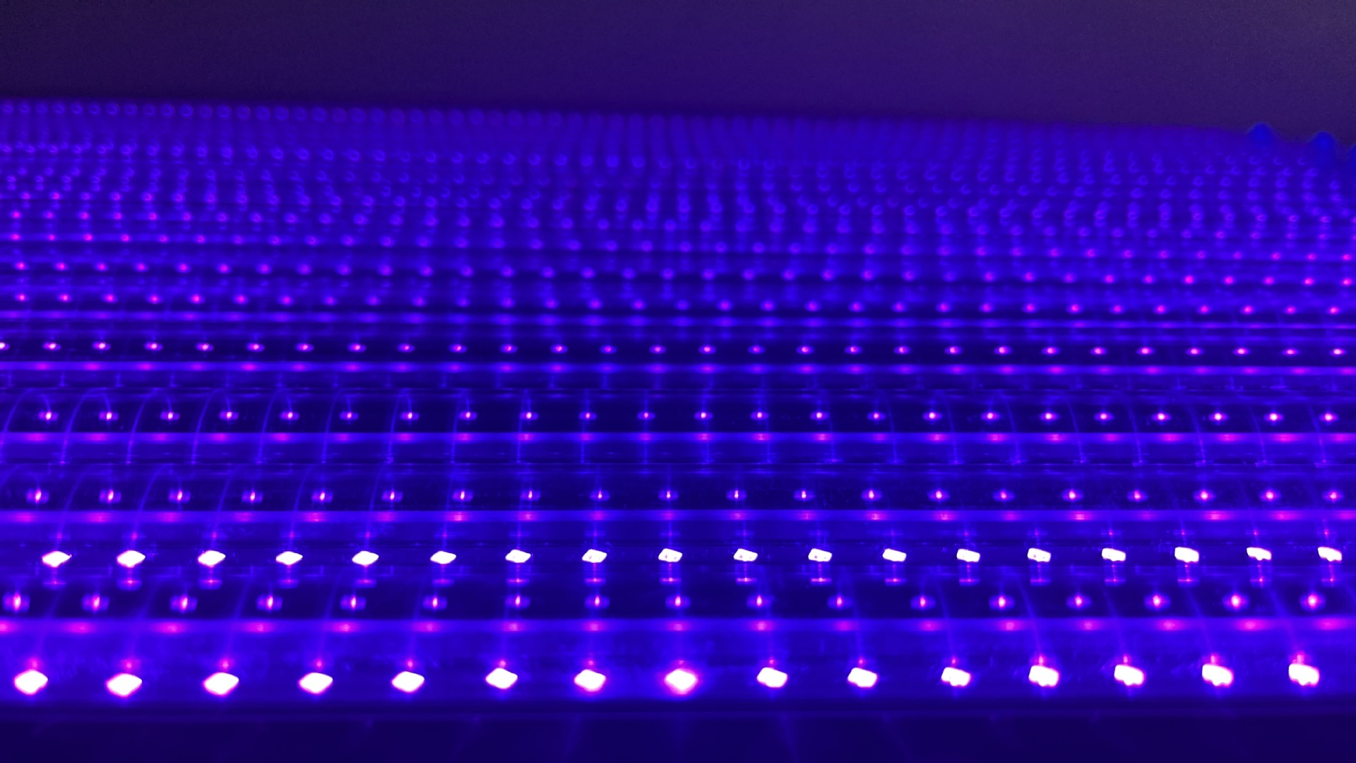 T8一体化LED紫光灯管365 395NM固化晒版诱蚊游泳池UV紫外灯管详情20