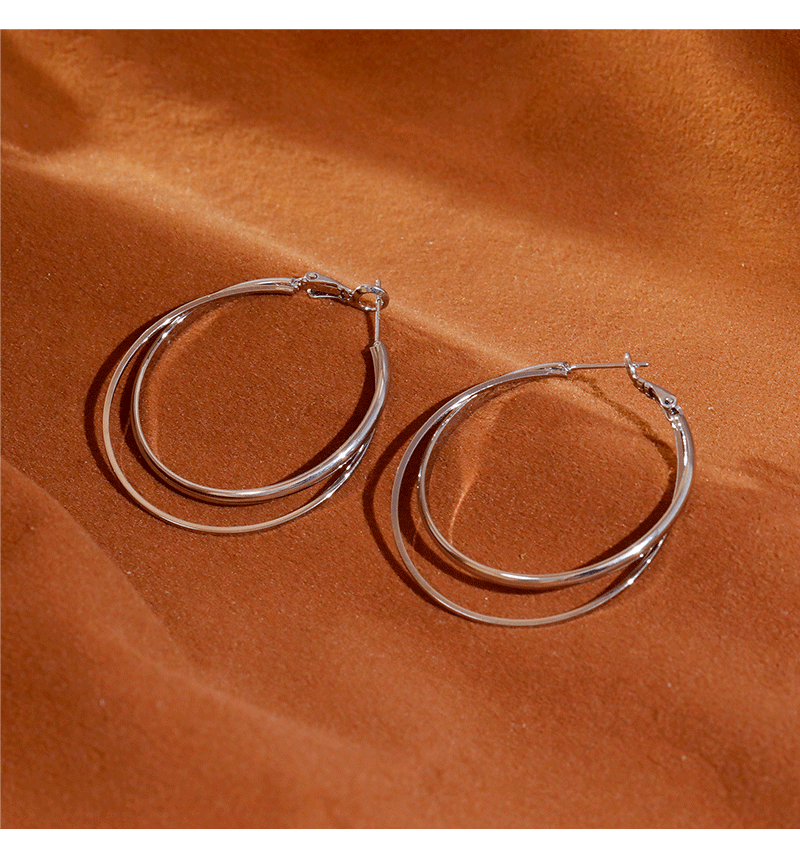 Hyacinth moda personalidad metal doble anillo aretes mujeres luz lujo alto sentido temperamento orejeras grandes orejeras de círculo orejeras hebillas pic 4
